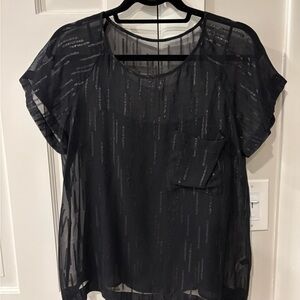 Rag & Bone sheer and shimmery top